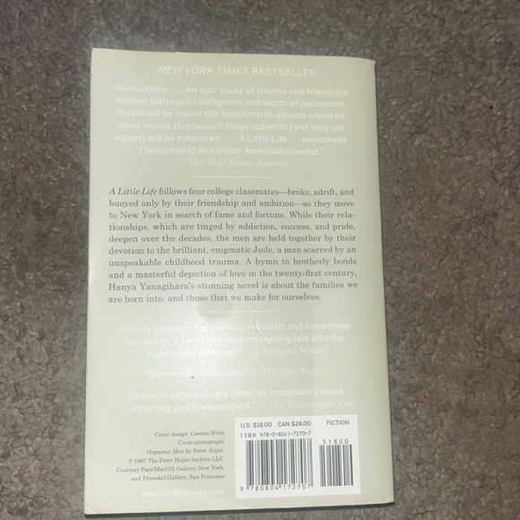 A Little Life By: Hanya Yanagihara - Picture 2 of 4